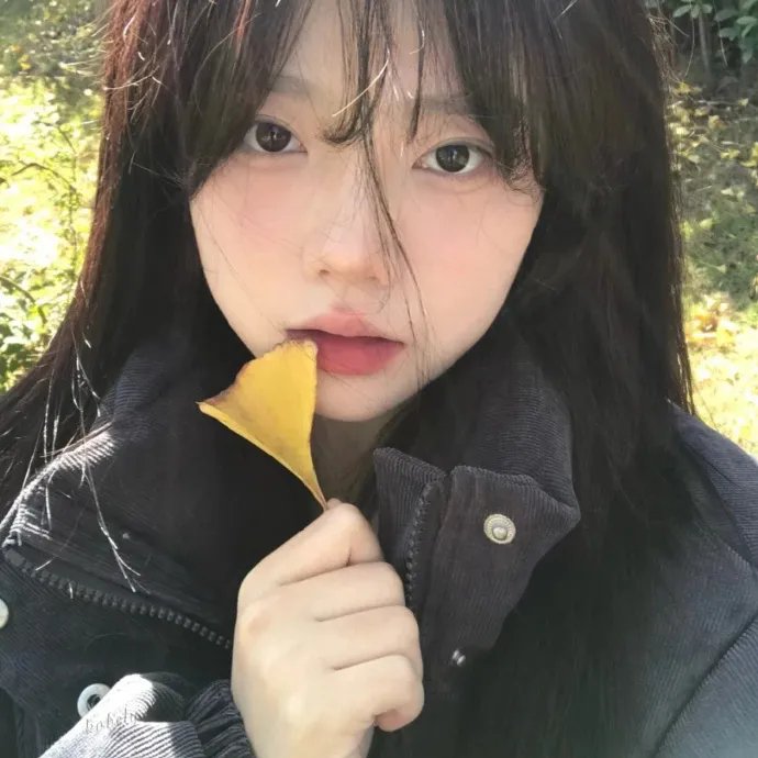 呆瓜向前冲